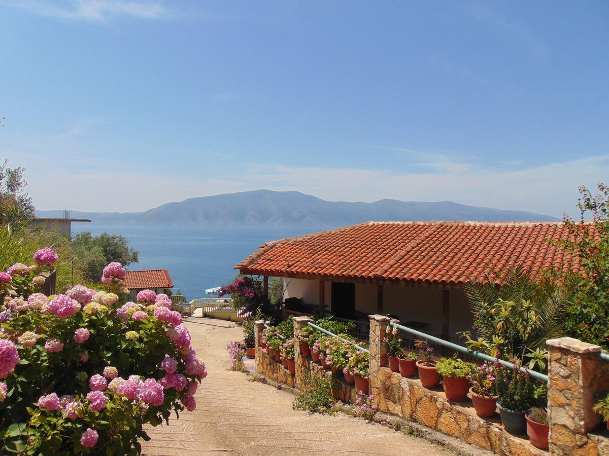 Blue Dream Holiday Hotel 3*